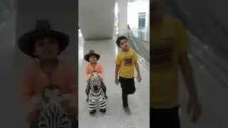 Zebra Riding