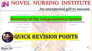 The Dermis & Hypodermis | Anatomy of Integumentary System || Raju Sir