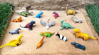 Cleaning toy animal zebra, fox, giraffe,dog, dinosaur, cow, rhino and horsh