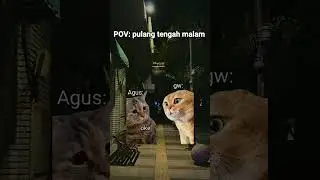 sepidol🗿😸 #funny #kucinglucu #lucu