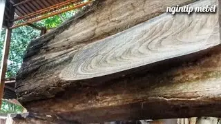 Potongan Kayu Jati Bongkot. Jangan Salah,  Kayu yang Tak Dianggap ini Juatru Memberi Untung Lebih. 