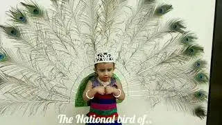 Very Cute Peacock fancy dress speech.. 😘😘😘 | Fancy Dress Ideas | First Prize Winning Fancy Dress