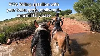 POV: Riding my stallion on a military base, with my twin aboard her fresh broke molly mule