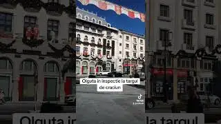 Olguta in inspectie la targul de craciun