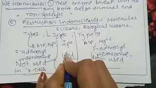 cleaving enzyme,Exonucleases &Endonuclease enzymes types  and difference between them .