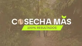 Más producción con el programa de Agrayu