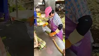 Extracting aloe vera gel: Used in skincare for its moisturizing and soothing properties
