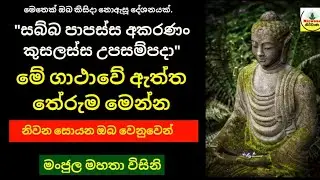 #Episode_252 | 