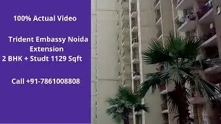 Trident Embassy | ☎️7861008808 | 2 BHK Flats for Sale in Noida Extension | 1129 Sqft | Actual Video