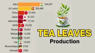 Top Tea Leaves Producing Country in The World