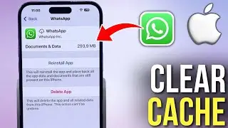 How to Clear WhatsApp Cache on Your iPhone Without Losing Data