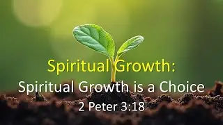 Spiritual Growth Is a Choice. How to Grow in Grace and Knowledge