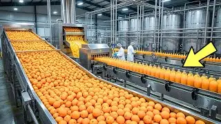 How It's Made the Mass Production of Orange Juice in Mega Factory