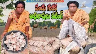 పండుగొరక,అభిలాష,కొమ్ము కోనం కటింగ్ #alltype dryfishes #best dryfish #dryfish cutting #viraldryfish👍