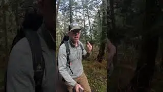 3 новых видео