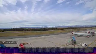 ✨ ✈️ Capturing the beauty of small aircraft in action | Real Airport Action | @ZonaRunway