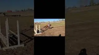 Part 1 of Introducing my Horses