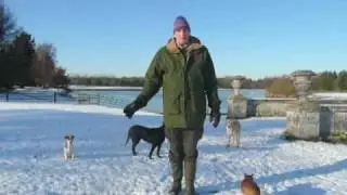 Introduction to Mole Catching
