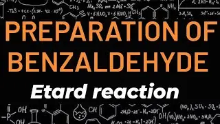 preparation of benzaldehyde/unit12/12thstandard/Etard reaction/carbonyl compound and carboxylic acid