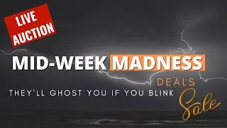 LIVE AUCTION MIDWEEK-MADNESS DEAL - 1/7 - 7:30 PM #WednesdayDeals #MidweekSteals #BargainHunt