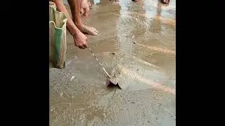 Catching Sankar fish at Digha.