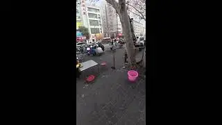 Chinese Street Food Livestream | POV Big-Pot Ladling with Real Market Sounds