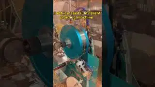 Holy tray nursery seeding line/seeder Batch seed treatment #seedplanter #onionplanter