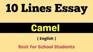 10 lines essay on Camel 🐪 | Essay on Camel in English | Short essay 