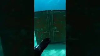 ОКЕАН ПОТРЯСАЮЩИЙ
