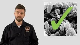 High Consequence Infectious Diseases