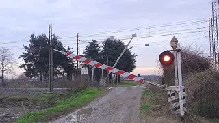 RARISSIMO QUESTO PL! È L'UNICO su questa LINEA la NOVARA-ARONA!!! Tra pochi MESI NON CI SARÀ PIÙ...
