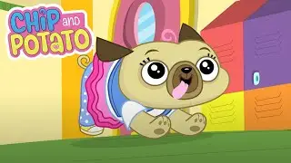 Pierwszy dzień Nico // Sportowy Chip | Chip and Potato Polska - WildBrain | Filmy dla dzieci