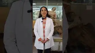 D&iacute;a Internacional del Conservador-Restaurador de Bienes Culturales. Katia Perdig&oacute;n
