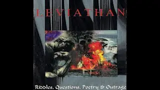 Leviathan: Census of Stars
