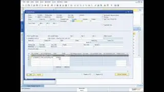 Demonstrating the Financials Functionality in SAP Business One 8.8