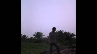 Husqvarna mangrove cutting
