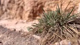 Canon City Colorado [Short Edit]