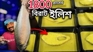 -40°তে কয়েক হাজার ইলিশ মাছের ভাণ্ডার থেকে জলের দরে 1800 গ্রামের বিরাট ইলিশ নিলাম, ilishonline ||