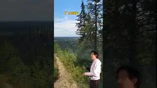 I love the forest #hike #hiking #scenic #scenicviews #boreal #forest #forestview #saskrvcamper