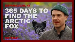 WTAF / Ep 4 - Final Foxy Frontier