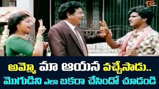Brahmanandam Comedy Scenes | అమ్మో మాఆయన వచ్చేసాడు | Latest Comedy Videos | Funny Videos | NavvulaTV