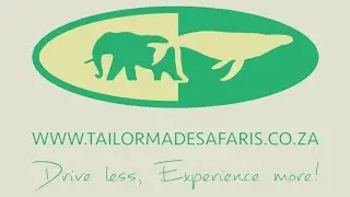 Tailor Made Safaris | Drive less, experience more!