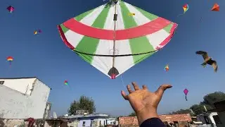 😱Kite Looting New Video 🔥| Kite Looting Ki Video 😍|kite | Patang 