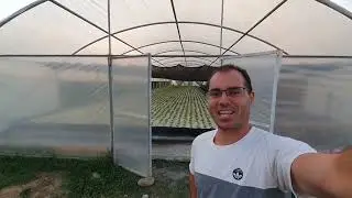 Raíz Flotante [DWC] Floating - Hidroponía [Chile]