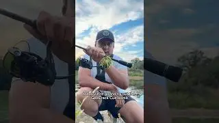 Geecrack Cue Bomb - Monster caught?! #bassfishing #bass #fishing #fishinglife #colorado  #geecrack
