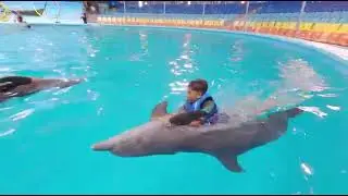 7/7) Ayyen & Daniel 121 swimming session with dolphin in Phuket Thailand