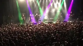 IMG 02461