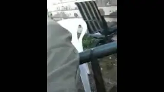 Puro Pedo