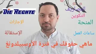 الهجرة إلى ألمانيا: ماهي حقوقك أثناء قيامك بالأوسبيلدونغ في ألمانيا