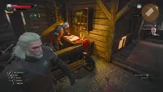 The Witcher 3: Wild Hunt Part 9